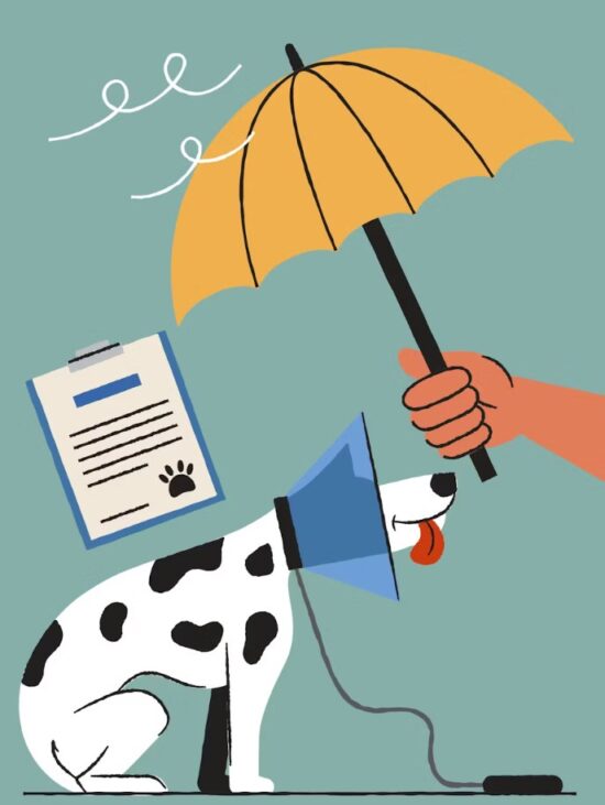 2025년 펫 보험 가격 심층 분석 4가지 핵심 81