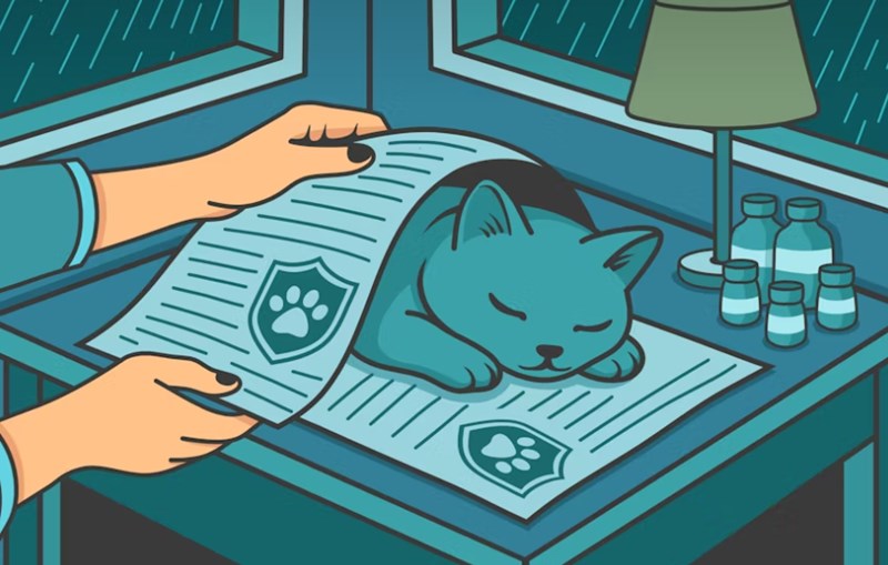 현대 해상 펫 보험 우리 아이 위한 최고의 선택 - 2025년 완벽 분석과 꼼꼼 가이드 8 현대 해상 펫 보험 우리 아이 위한 최고의 선택 - 2025년 완벽 분석과 꼼꼼 가이드 7