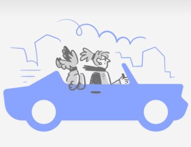 2025년 자동차 보험 다이렉트 비교(+ 나에게 맞는 최적의 보험 찾기) 55