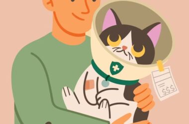 펫보험 가입의 중요성과 혜택, 반려동물을 위한 보호 방법 25