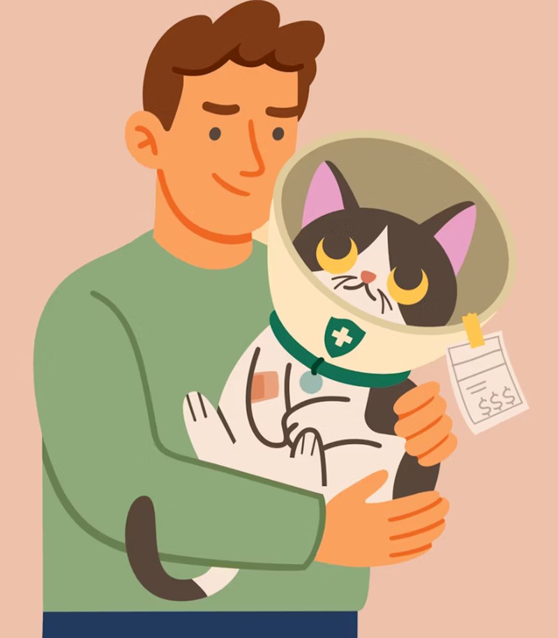 펫보험 가입의 중요성과 혜택, 반려동물을 위한 보호 방법 8 펫보험 가입의 중요성과 혜택, 반려동물을 위한 보호 방법 7