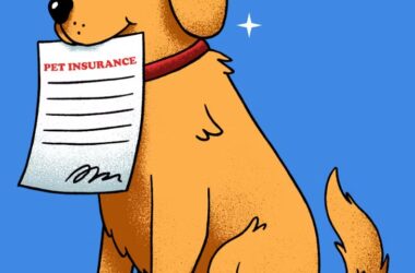 반려 동물 보험 5가지 핵심 전략 - 2025년 현명하게 선택하기 21