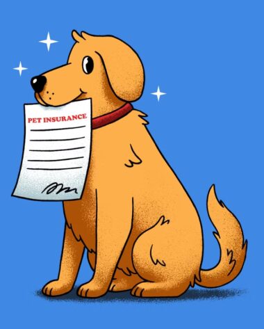 반려 동물 보험 5가지 핵심 전략 - 2025년 현명하게 선택하기 87