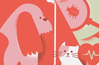 슬기로운 2025년 반려견 보험 가이드(+ 펫팸족을 위한 맞춤 정보) 13