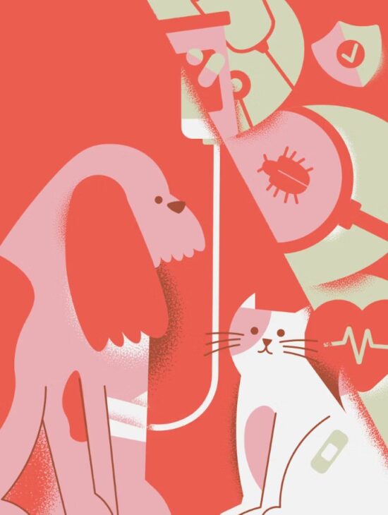 슬기로운 2025년 반려견 보험 가이드(+ 펫팸족을 위한 맞춤 정보) 83