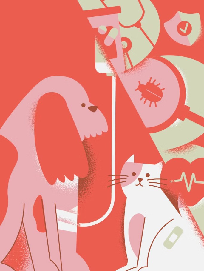 슬기로운 2025년 반려견 보험 가이드(+ 펫팸족을 위한 맞춤 정보) 8 슬기로운 2025년 반려견 보험 가이드(+ 펫팸족을 위한 맞춤 정보) 7