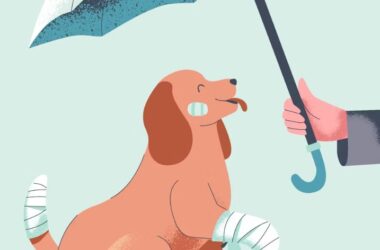 2025년 삼성 화재 반려견 보험 안심하고 댕댕이와 함께 - 삼성 화재 반려견 보험 꼼꼼 분석 15