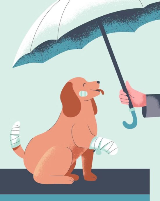 2025년 삼성 화재 반려견 보험 안심하고 댕댕이와 함께 - 삼성 화재 반려견 보험 꼼꼼 분석 107