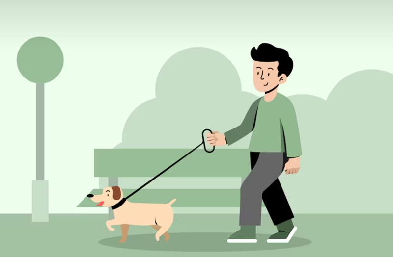 2025년 삼성 화재 반려견 보험 안심하고 댕댕이와 함께 - 삼성 화재 반려견 보험 꼼꼼 분석 16 2025년 삼성 화재 반려견 보험 안심하고 댕댕이와 함께 - 삼성 화재 반려견 보험 꼼꼼 분석 15