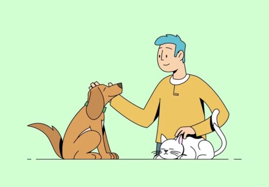 2025년 강아지 보험 비교 - 10가지 핵심 정보와 가입 후기, 가격, 추천 총정리 47