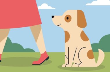 2025년 삼성 화재 다이렉트 펫 보험(+ 펫팸족을 위한 선택) 9