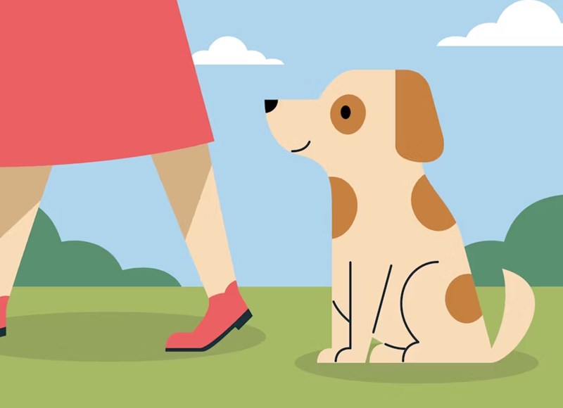 2025년 삼성 화재 다이렉트 펫 보험(+ 펫팸족을 위한 선택) 8 2025년 삼성 화재 다이렉트 펫 보험(+ 펫팸족을 위한 선택) 7