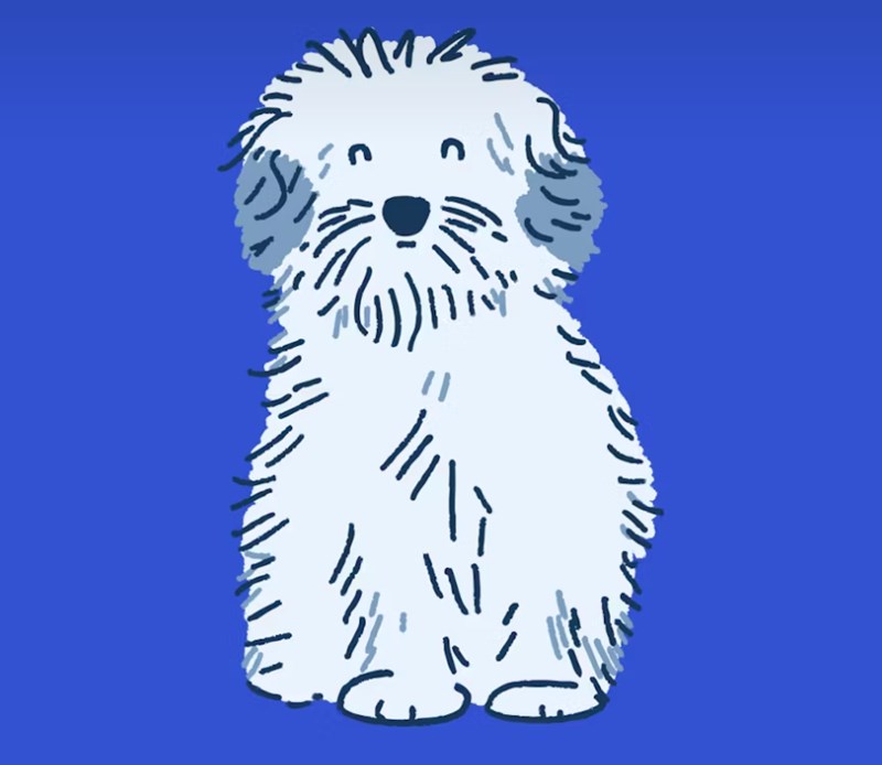 현대해상 다이렉트 펫보험 보험료 가입방법과 혜택 8 현대해상 다이렉트 펫보험 보험료 가입방법과 혜택 7