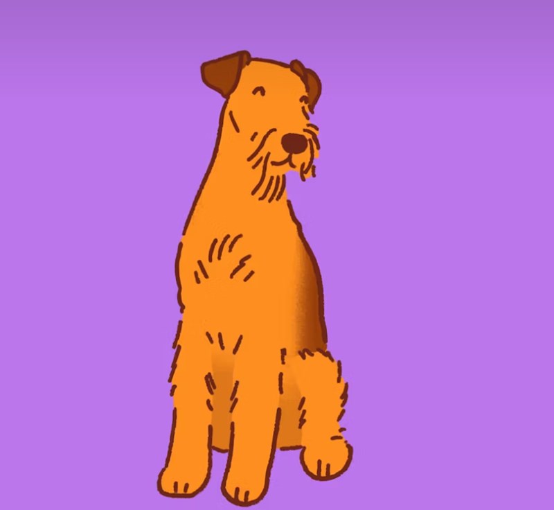 반려견의 수명 연장 - 애정과 관리로 알아보는 반려견 수명 관리법 8 반려견의 수명 연장 - 애정과 관리로 알아보는 반려견 수명 관리법 7