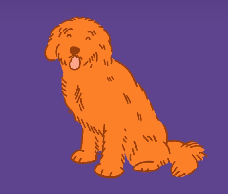 2025년 삼성 화재 펫 보험, 우리 댕냥이를 위한 현명한 선택 8 2025년 삼성 화재 펫 보험, 우리 댕냥이를 위한 현명한 선택 7