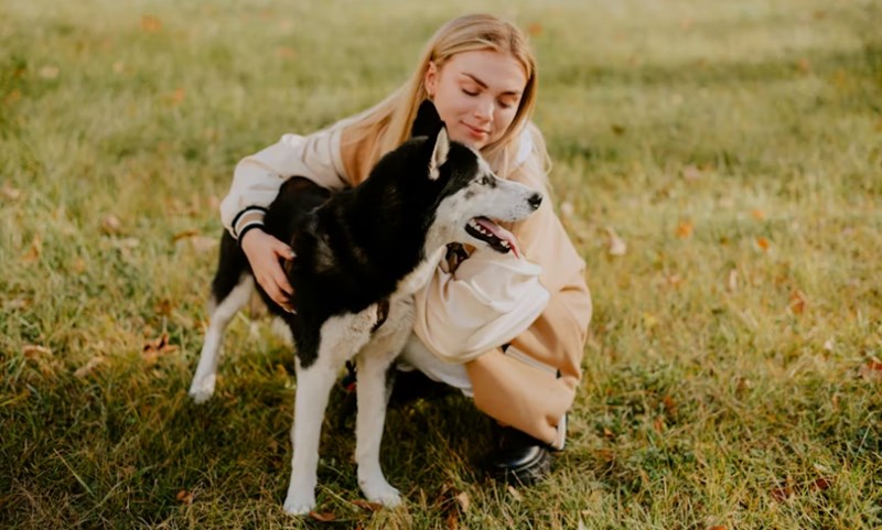 2025년 펫 보험 종류 슬기로운 반려생활 - 알아두면 유용한 5가지 펫 보험 종류 16 2025년 펫 보험 종류 슬기로운 반려생활 - 알아두면 유용한 5가지 펫 보험 종류 15