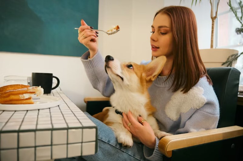 2025년 삼성 화재 펫 보험, 우리 댕냥이를 위한 현명한 선택 10 2025년 삼성 화재 펫 보험, 우리 댕냥이를 위한 현명한 선택 9