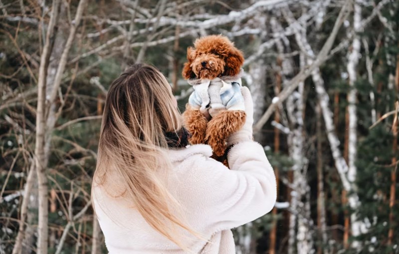 2025년 메리츠 펫보험 보험료 상세 분석과 후기 비교 20 2025년 메리츠 펫보험 보험료 상세 분석과 후기 비교 19