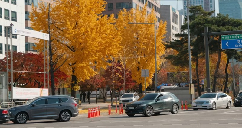 현대 해상 다이렉트 자동차 보험(+ 고객 센터 전화 번호 및 마일리지 환급 조회 10가지 꿀팁) 16 현대 해상 다이렉트 자동차 보험(+ 고객 센터 전화 번호 및 마일리지 환급 조회 10가지 꿀팁) 15