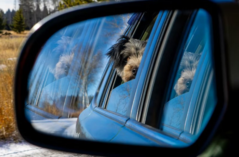 10가지 핵심 자동차 보험 특약 파헤치기 나에게 맞는 맞춤형 선택 가이드 8 10가지 핵심 자동차 보험 특약 파헤치기 나에게 맞는 맞춤형 선택 가이드 7