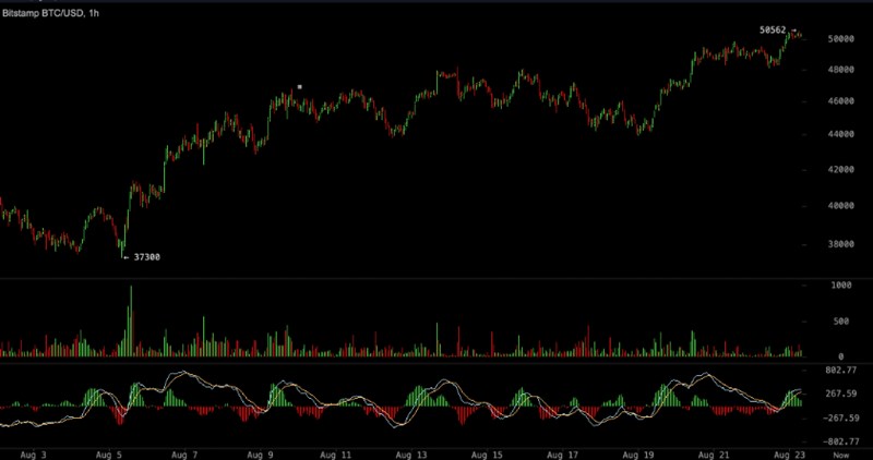 가상화폐 투자 - BTC 마켓 대 원화 마켓 14 가상화폐 투자 - BTC 마켓 대 원화 마켓 13
