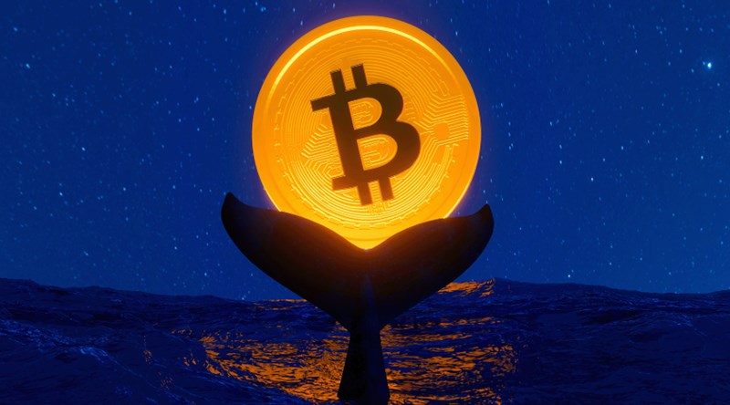 코인펌핑 - 코인투자 세력이 올리는 펌핑의 특징 8 코인펌핑 - 코인투자 세력이 올리는 펌핑의 특징 7