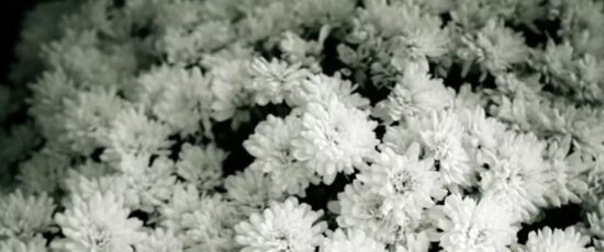 정기보험과 종신보험 비교, 실속 있는 사망보험 선택하기 35