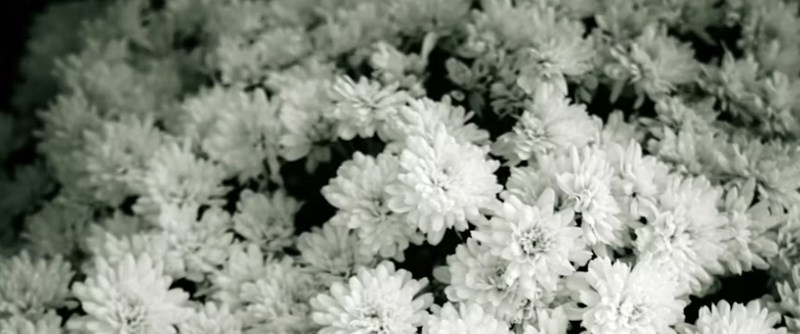 정기보험과 종신보험 비교, 실속 있는 사망보험 선택하기 8 정기보험과 종신보험 비교, 실속 있는 사망보험 선택하기 7