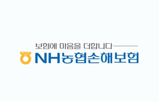 농협 암보험 - 최적의 설계와 가격비교 29