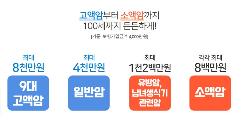 농협 암보험 - 최적의 설계와 가격비교 43