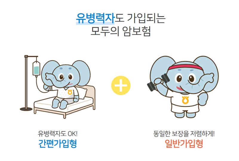 농협 암보험 - 최적의 설계와 가격비교 45