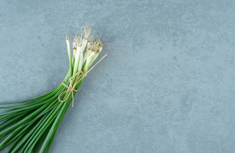 부추 효능과 보관방법 406