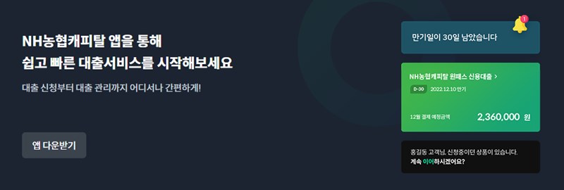 NH농협은행 대출 총정리 A to Z, 주택담보대출부터 신용대출, 금리인하요구권까지 22 NH농협은행 대출 총정리 A to Z, 주택담보대출부터 신용대출, 금리인하요구권까지 21