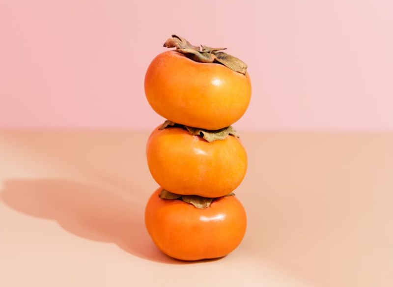 강아지 곶감 급여하는 방법 및 주의 사항 19 강아지 곶감 급여하는 방법 및 주의 사항 18