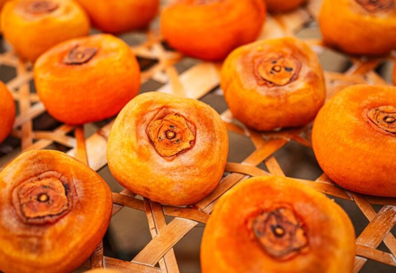 강아지 곶감 급여하는 방법 및 주의 사항 11 강아지 곶감 급여하는 방법 및 주의 사항 10