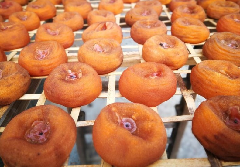 강아지 곶감 급여하는 방법 및 주의 사항 15 강아지 곶감 급여하는 방법 및 주의 사항 14