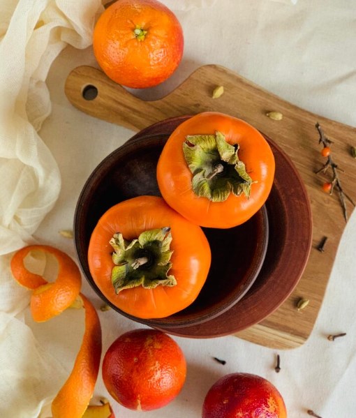 강아지 감 먹어도 되나요? 감이 강아지에게 미치는 영향과 주의사항 24 강아지 감 먹어도 되나요? 감이 강아지에게 미치는 영향과 주의사항 23