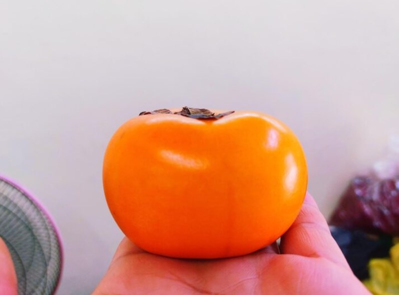 강아지 감 먹어도 되나요? 감이 강아지에게 미치는 영향과 주의사항 22 강아지 감 먹어도 되나요? 감이 강아지에게 미치는 영향과 주의사항 21