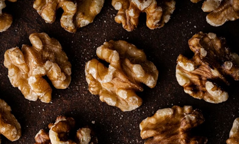 강아지 호두 주지 마세요 - 호두의 위험과 주의사항 14 강아지 호두 주지 마세요 - 호두의 위험과 주의사항 13