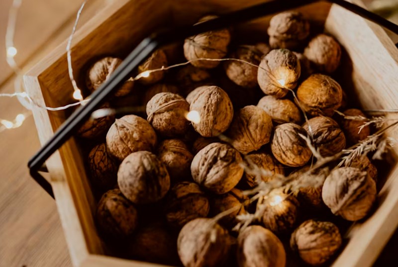 강아지 호두 주지 마세요 - 호두의 위험과 주의사항 20 강아지 호두 주지 마세요 - 호두의 위험과 주의사항 19