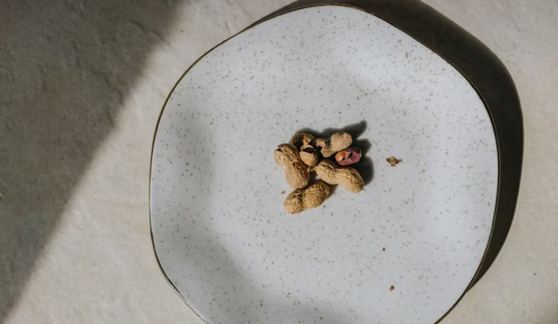 강아지 견과류 먹어도 되나요? 129