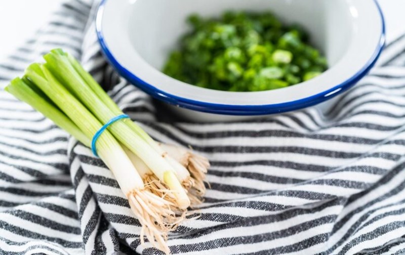 강아지 파 먹어도 되나요? 강아지가 파를 먹었을 때의 증상과 응급 처치 방법 22 강아지 파 먹어도 되나요? 강아지가 파를 먹었을 때의 증상과 응급 처치 방법 21