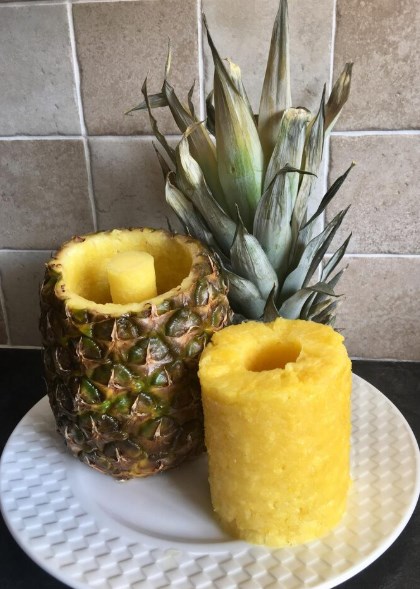 강아지 파인애플 먹어도 되나요? (+ 주의사항) 49