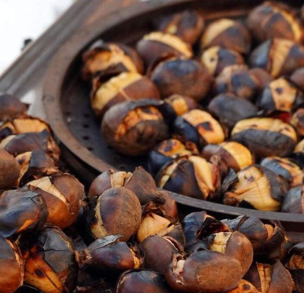 겨울의 맛, 군밤! 강아지와 나눠 먹을 수 있을까? 8 겨울의 맛, 군밤! 강아지와 나눠 먹을 수 있을까? 7