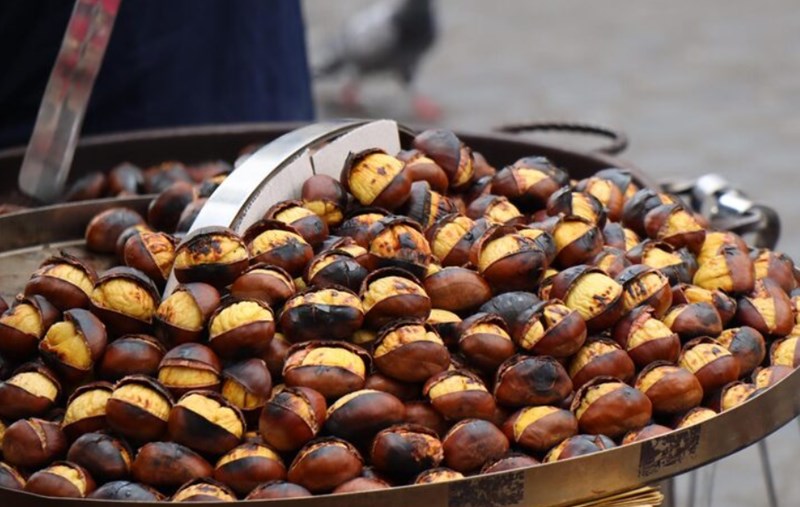 겨울의 맛, 군밤! 강아지와 나눠 먹을 수 있을까? 16 겨울의 맛, 군밤! 강아지와 나눠 먹을 수 있을까? 15