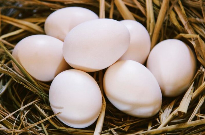 민간요법으로 기침과 가래 극복하기 237