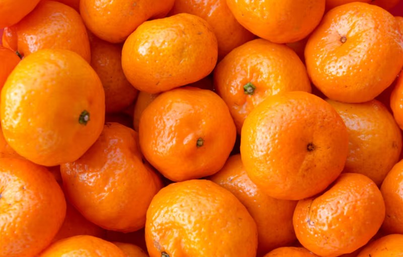 민간요법으로 기침과 가래 극복하기 239