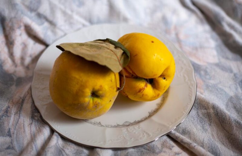 민간요법으로 기침과 가래 극복하기 245