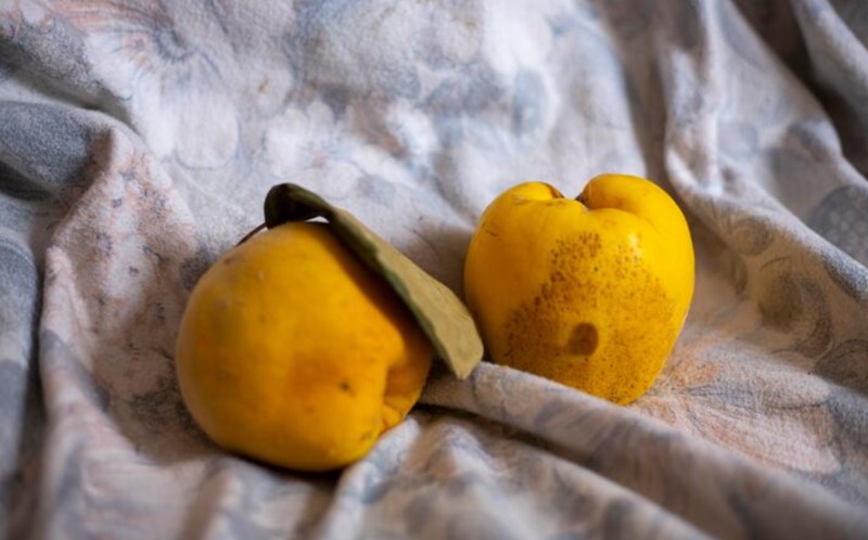 폐렴 예방을 위한 음식 5가지(+ 면역력을 높이고 호흡기 건강 챙기기) 10 폐렴 예방을 위한 음식 5가지(+ 면역력을 높이고 호흡기 건강 챙기기) 9