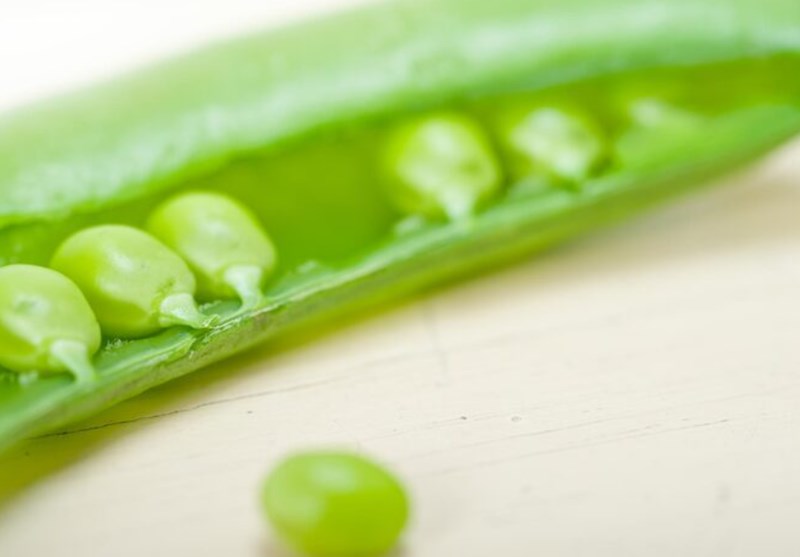 고지혈증에 도움을 주는 음식 14 고지혈증에 도움을 주는 음식 13